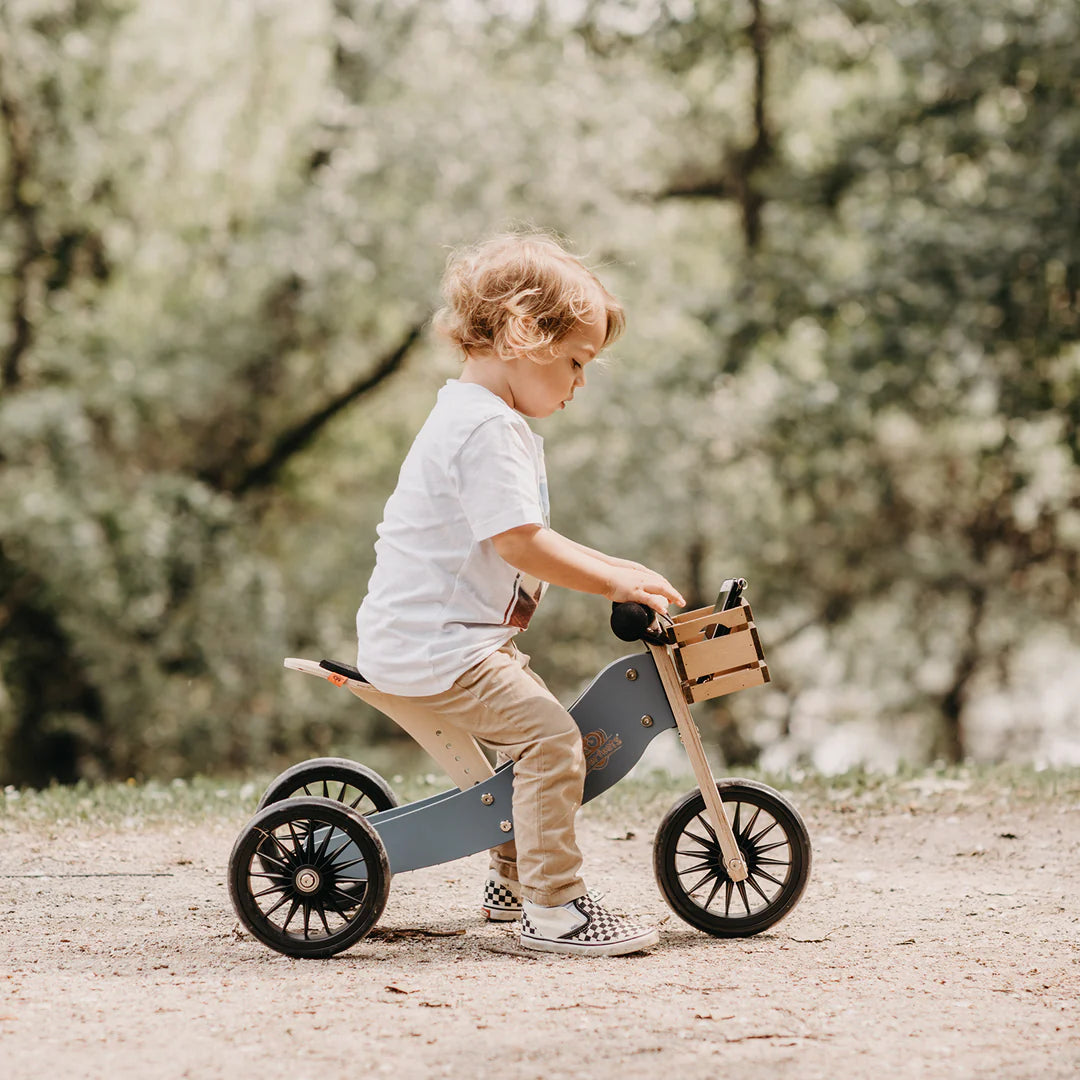 2-in-1 Tiny Tot Plus tricycle & balance bike - Slate Blue