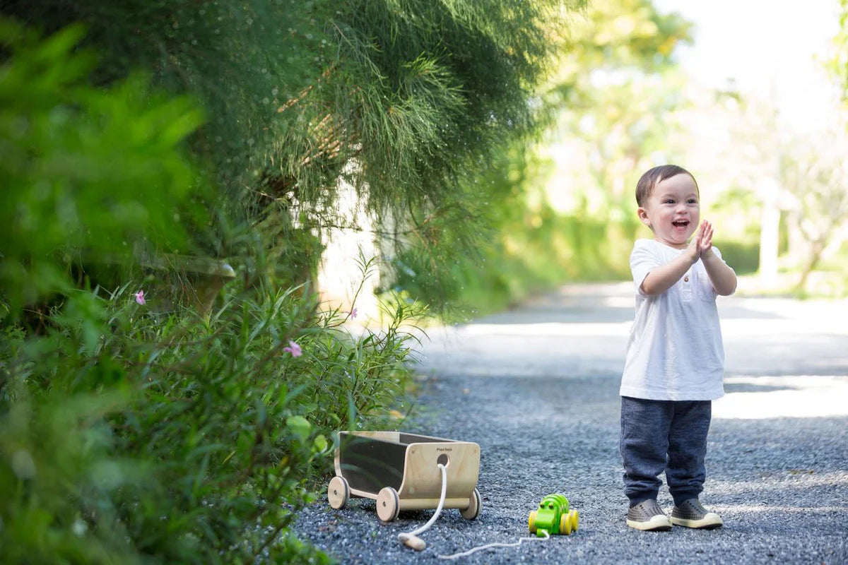 Kids wooden pull toy wagon- Black
