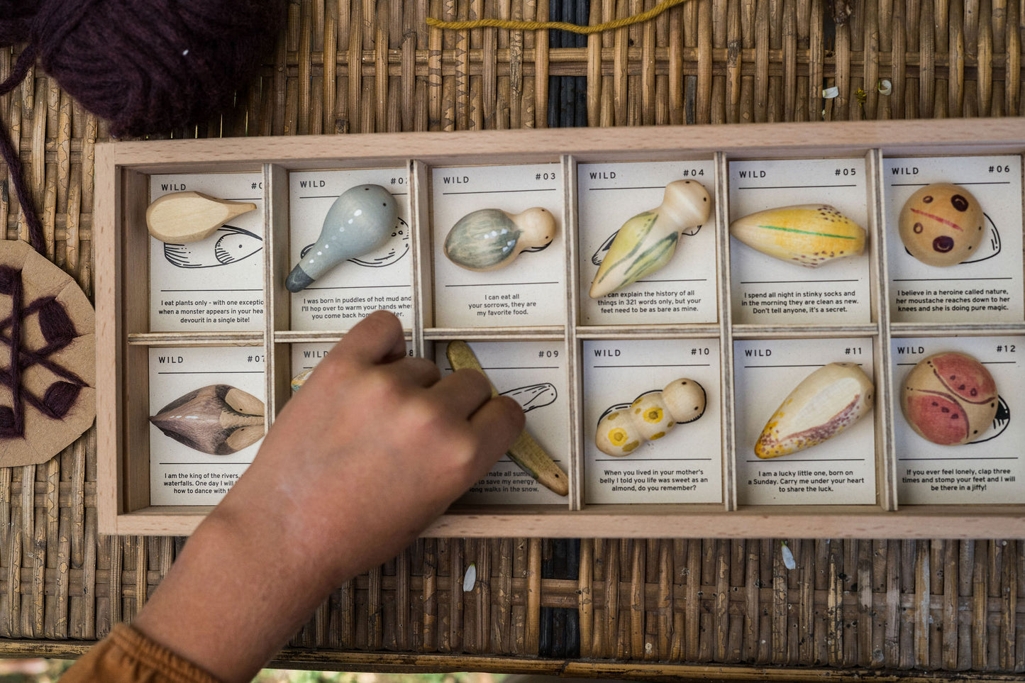 Wooden wild creatures set (x12)