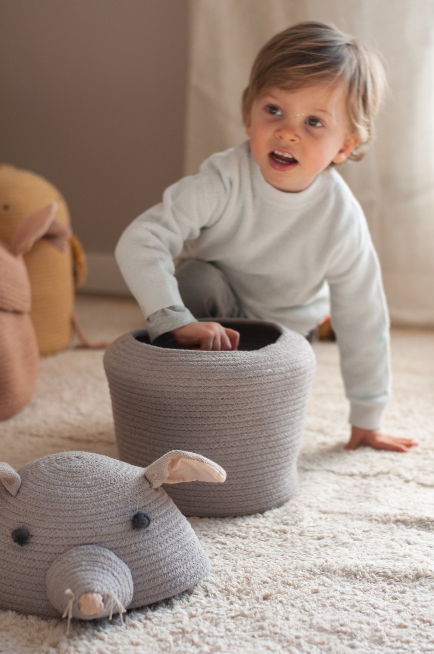 Renata the Rat-Storage basket