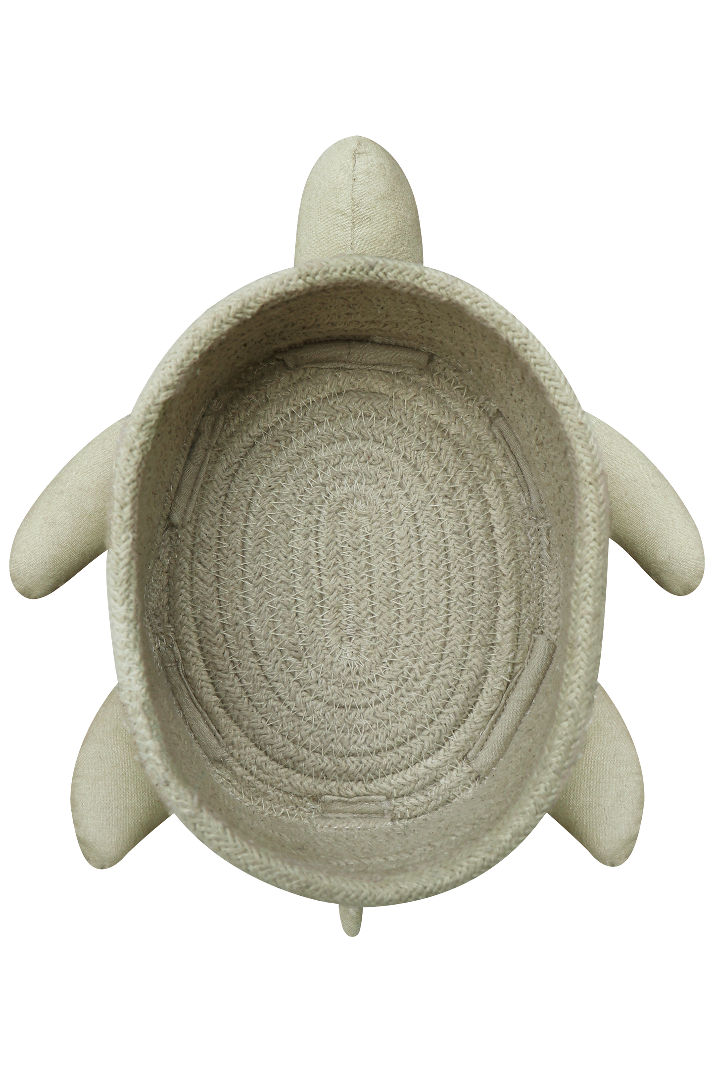 Basket baby turtle