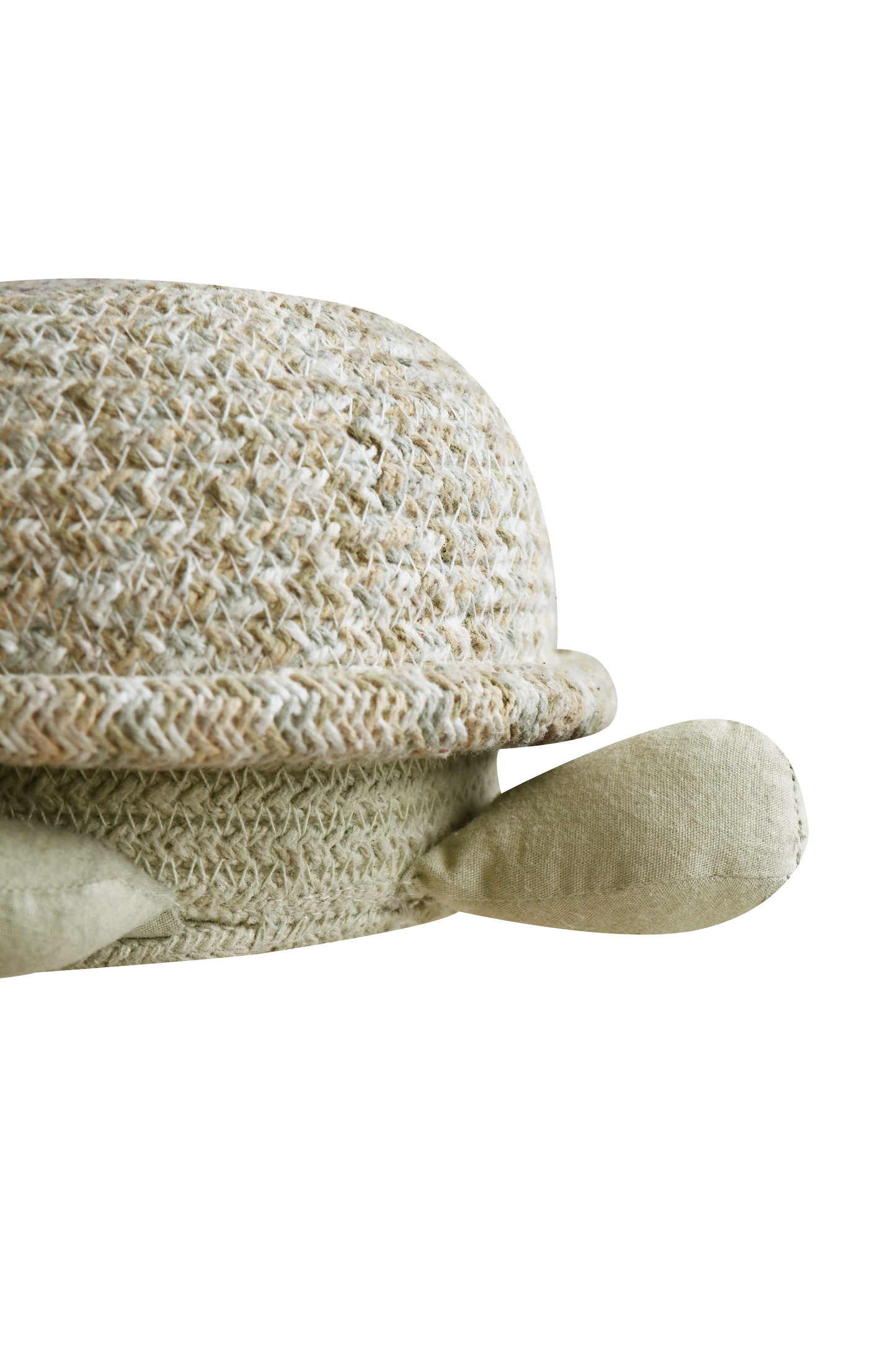Basket baby turtle