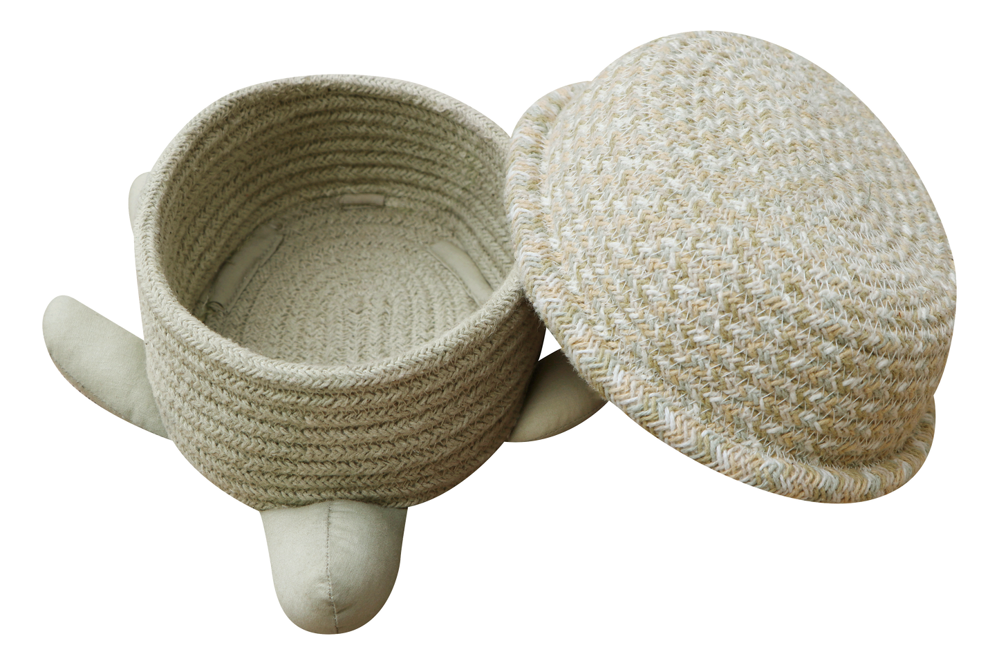 Basket baby turtle