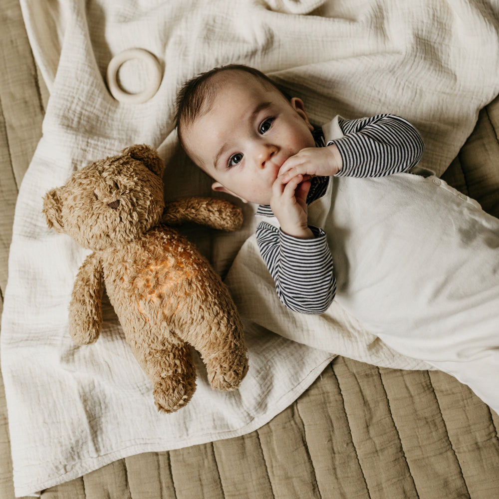 Organic humming bear soft toy and lamp- Cappuccino