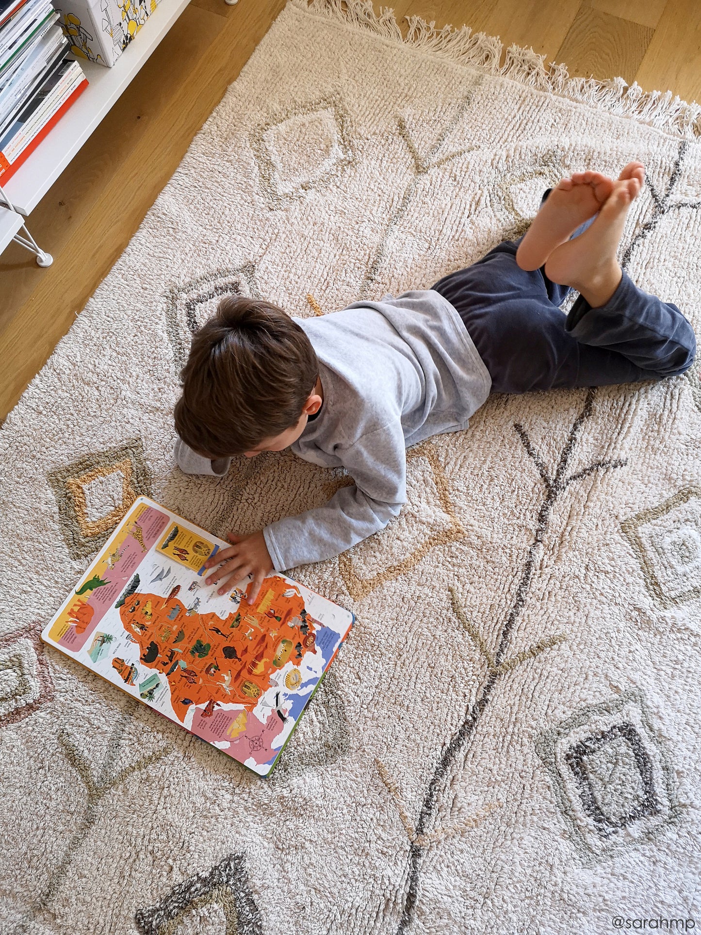 Kaarol Earth washable rug- L