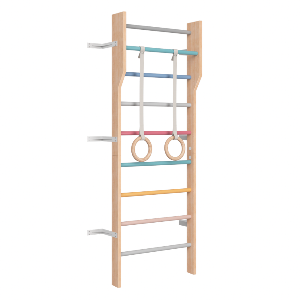 Modern Scandinavian wooden ladder gym- Multicolour
