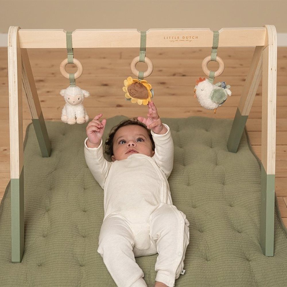 Wooden baby gym- Farm