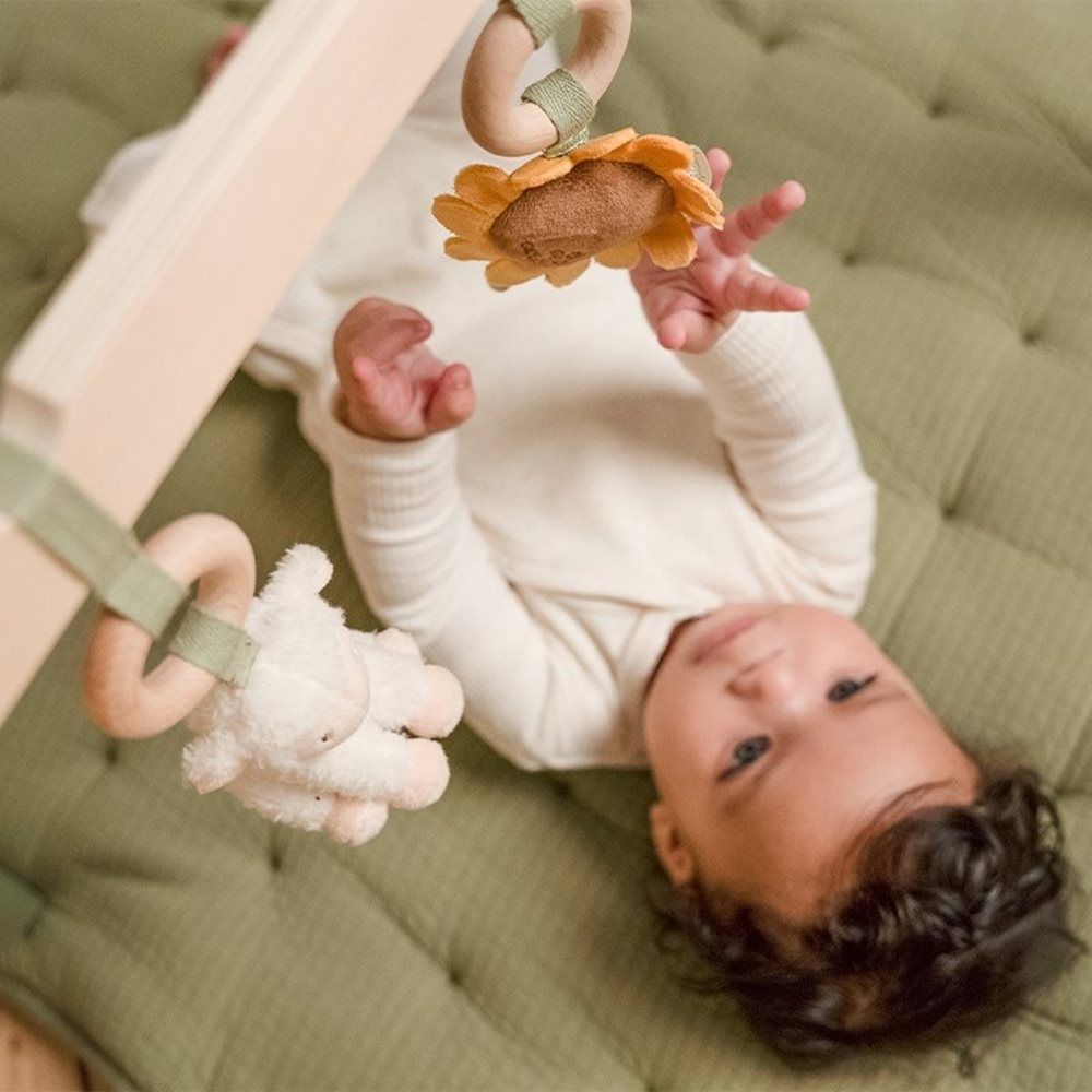 Wooden baby gym- Farm