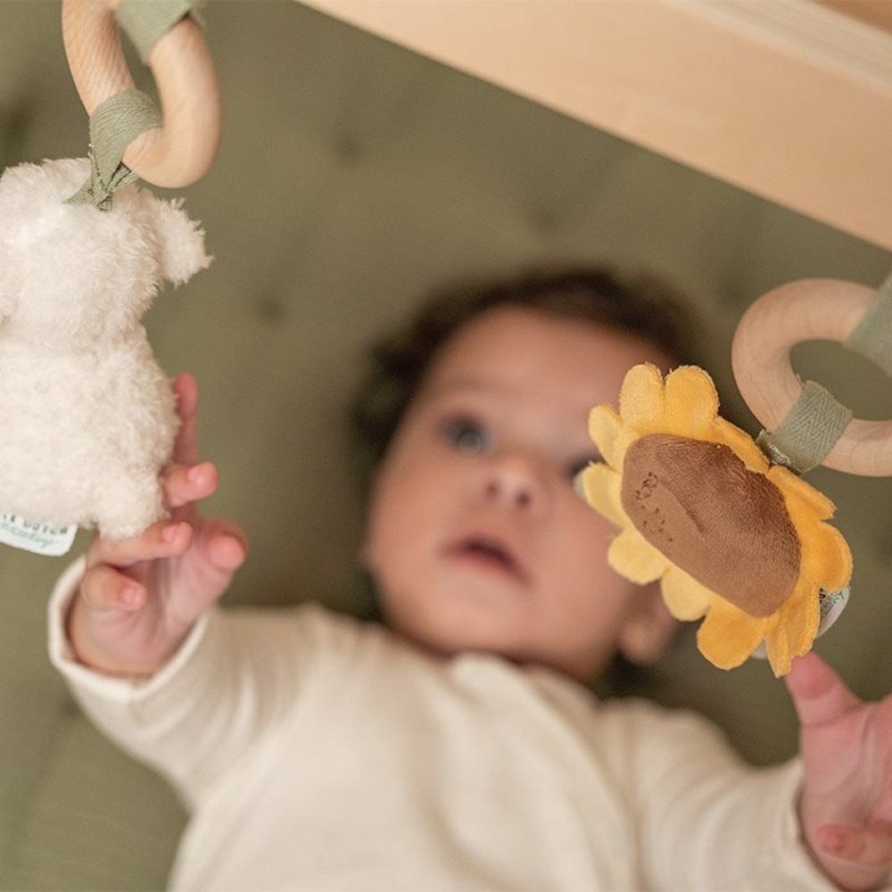 Wooden baby gym- Farm