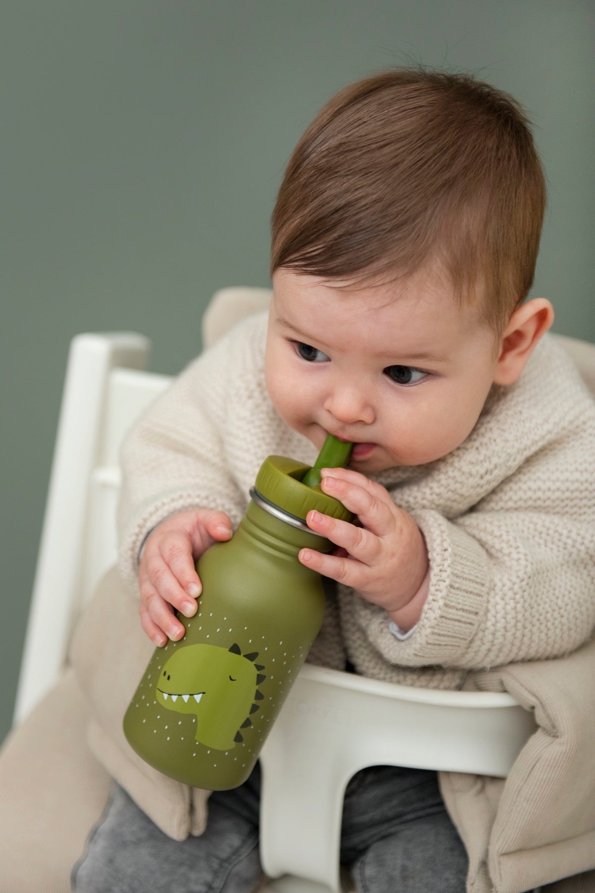 Reusable water bottle for kids- 350 ML- Mr Dino