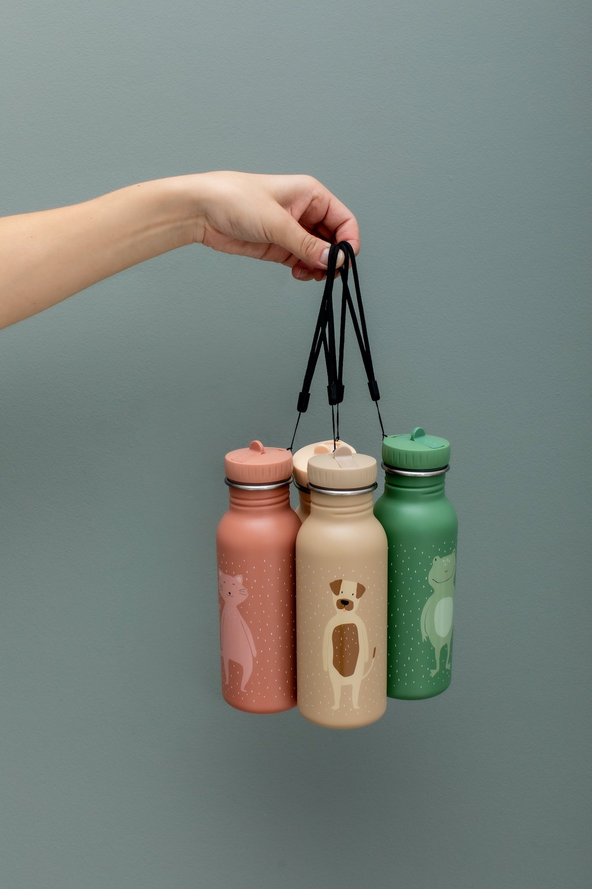 Reusable water bottle for kids- 500 ML- Mr Dog