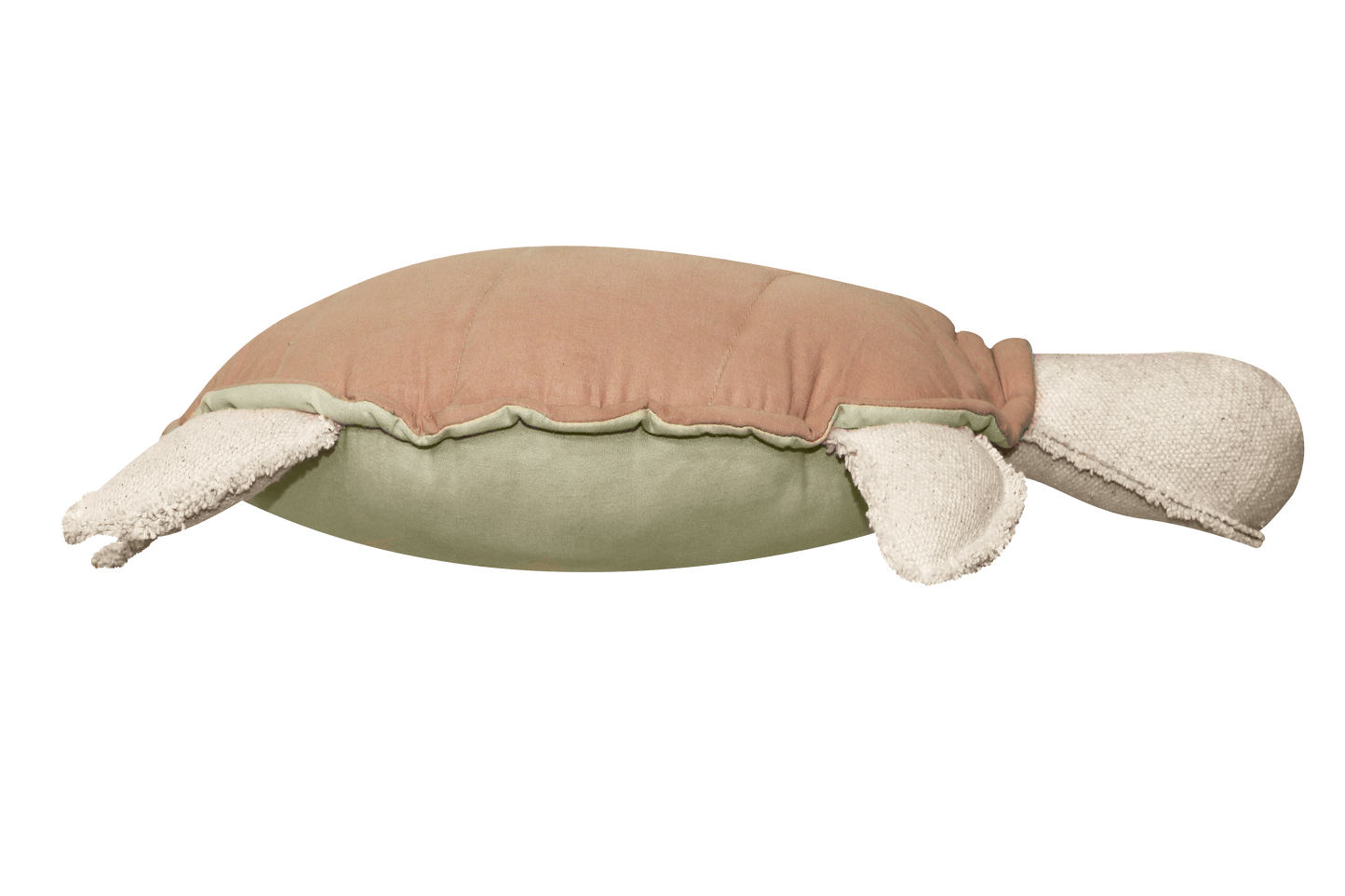 Turtle cushion