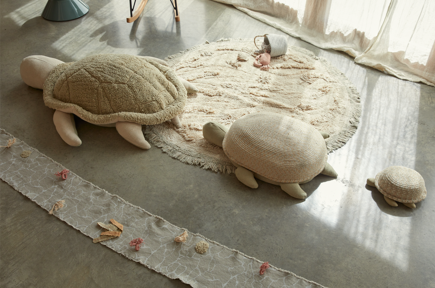 Basket baby turtle