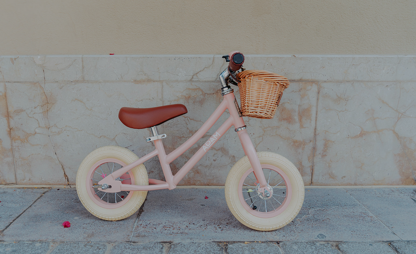 The Balance Bike 10"