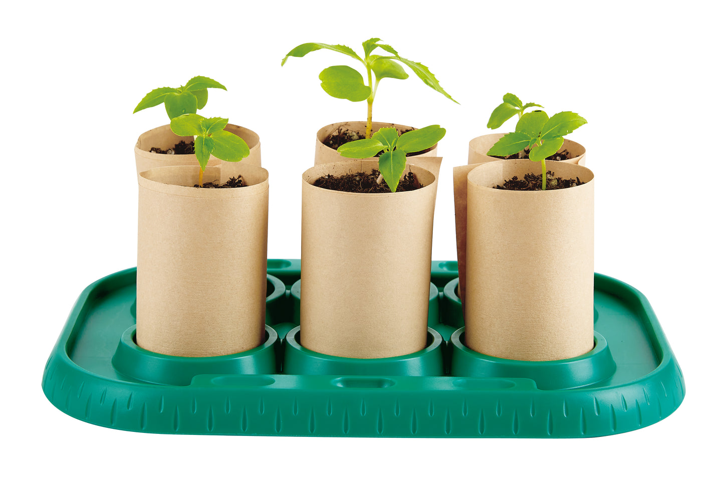 Growing gardeners greenhouse