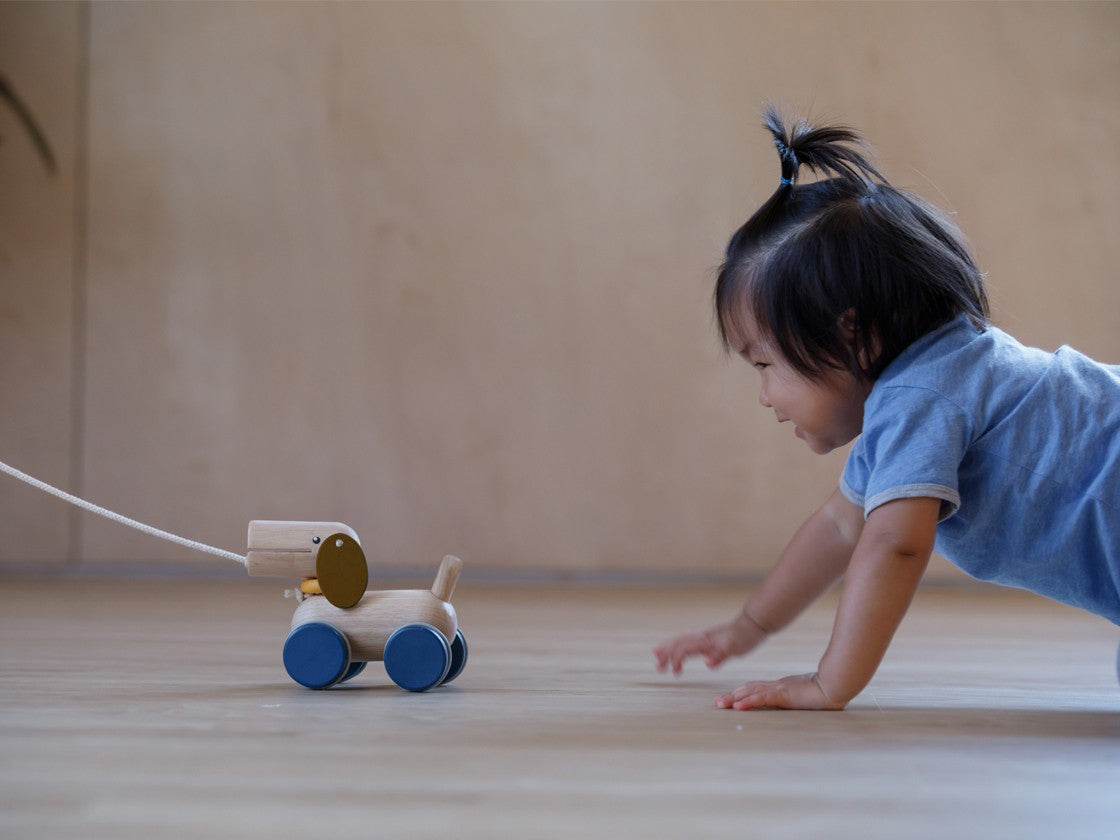 Wooden push and pull puppy toy