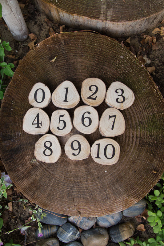 Wooden number discs