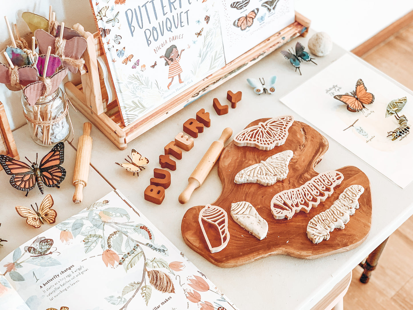 Monarch butterfly life cycle biodegradable dough eco cutter set