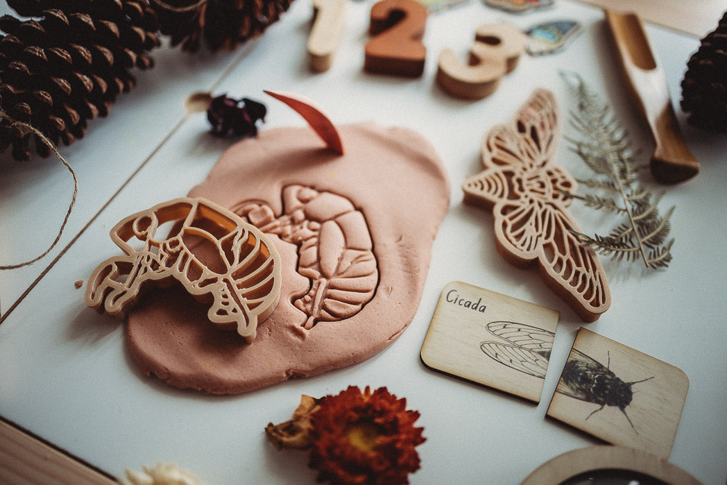 Cicada & shell biodegradable dough eco cutter set