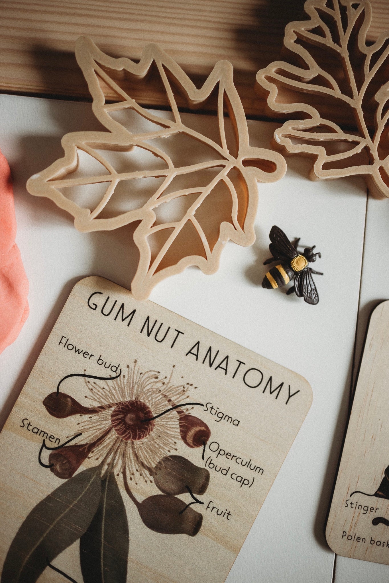 Leaves biodegradable dough eco cutter set