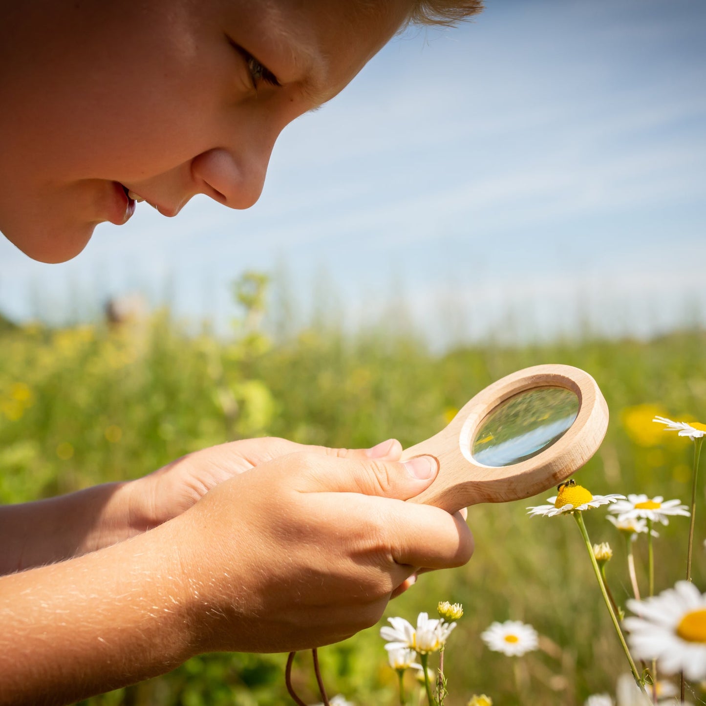 Wooden dual magnifier