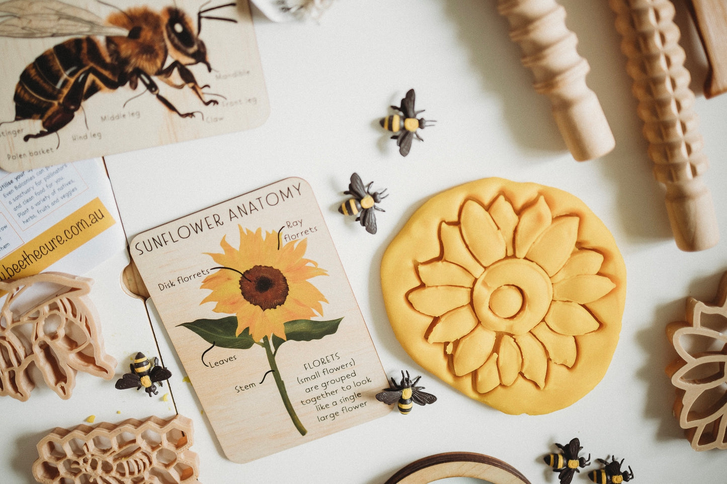 Sunflower biodegradable dough eco cutter