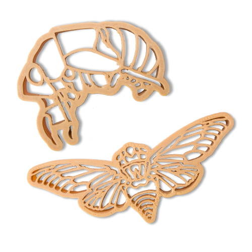 Cicada & shell biodegradable dough eco cutter set
