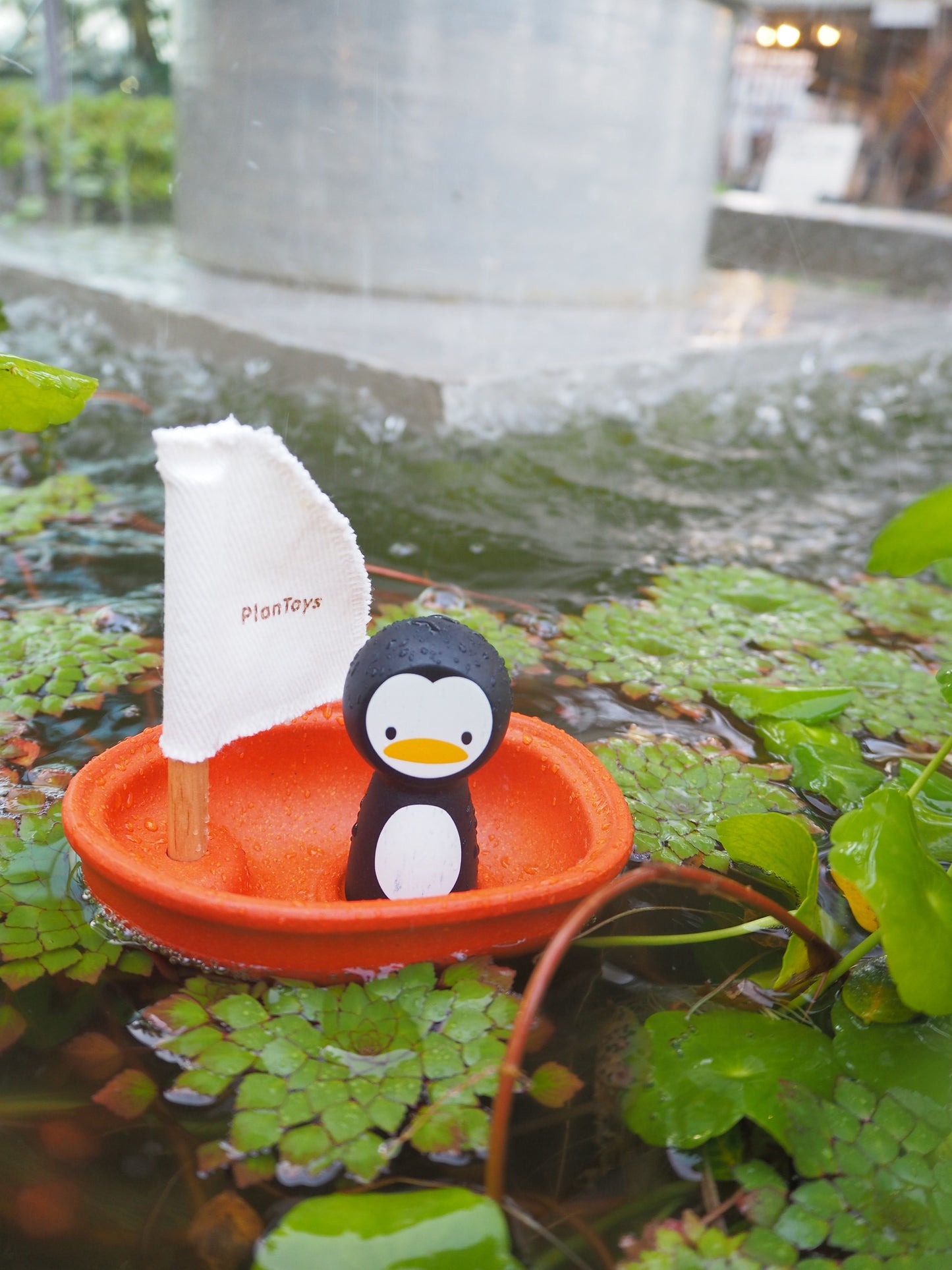 Bath toy sailing boat - Penguin
