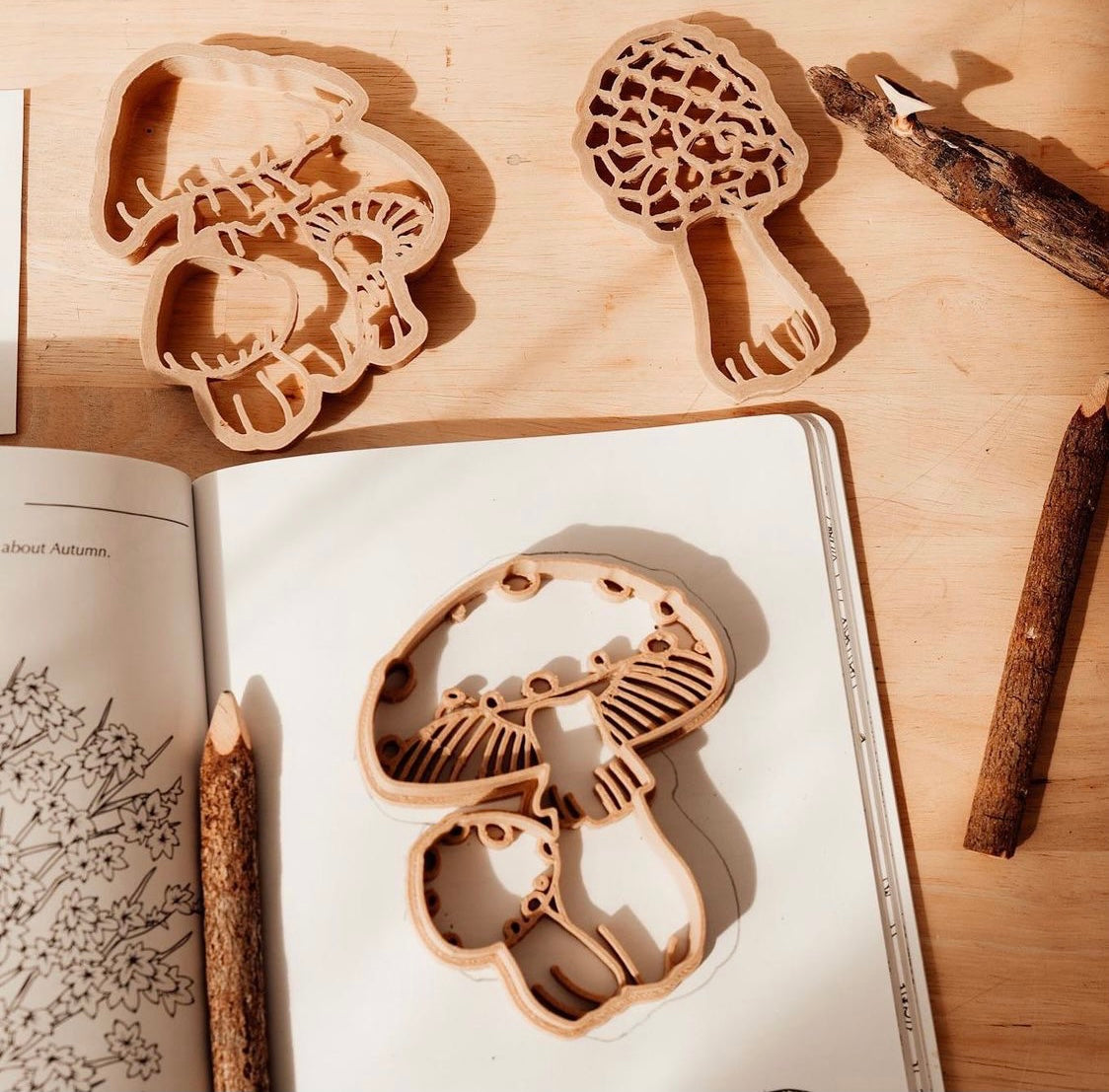 Wild mushrooms biodegradable dough eco cutter set
