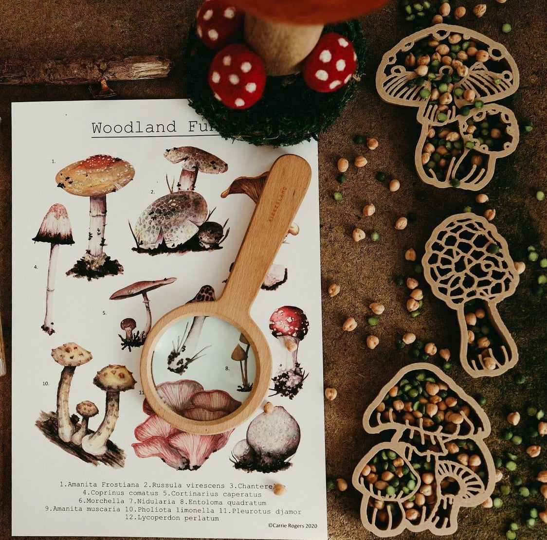 Wild mushrooms biodegradable dough eco cutter set