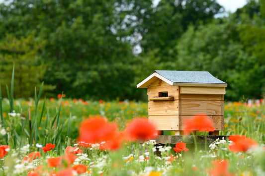 bee house, gardening, kids, play outside, summer, dubai 