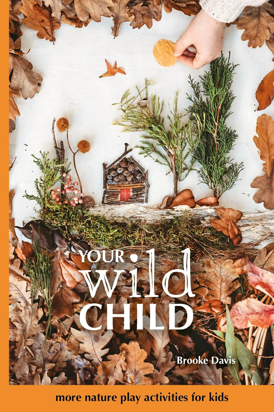 Your Wild Child book: nature play activities for kids