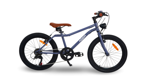 The Fast Adam 20" -Mountain bike for children