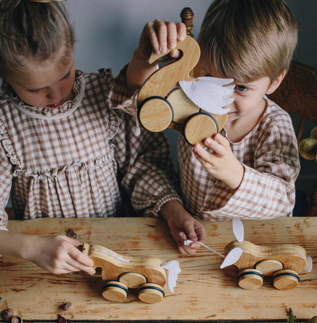 Push & pull bamboo toy- Swan