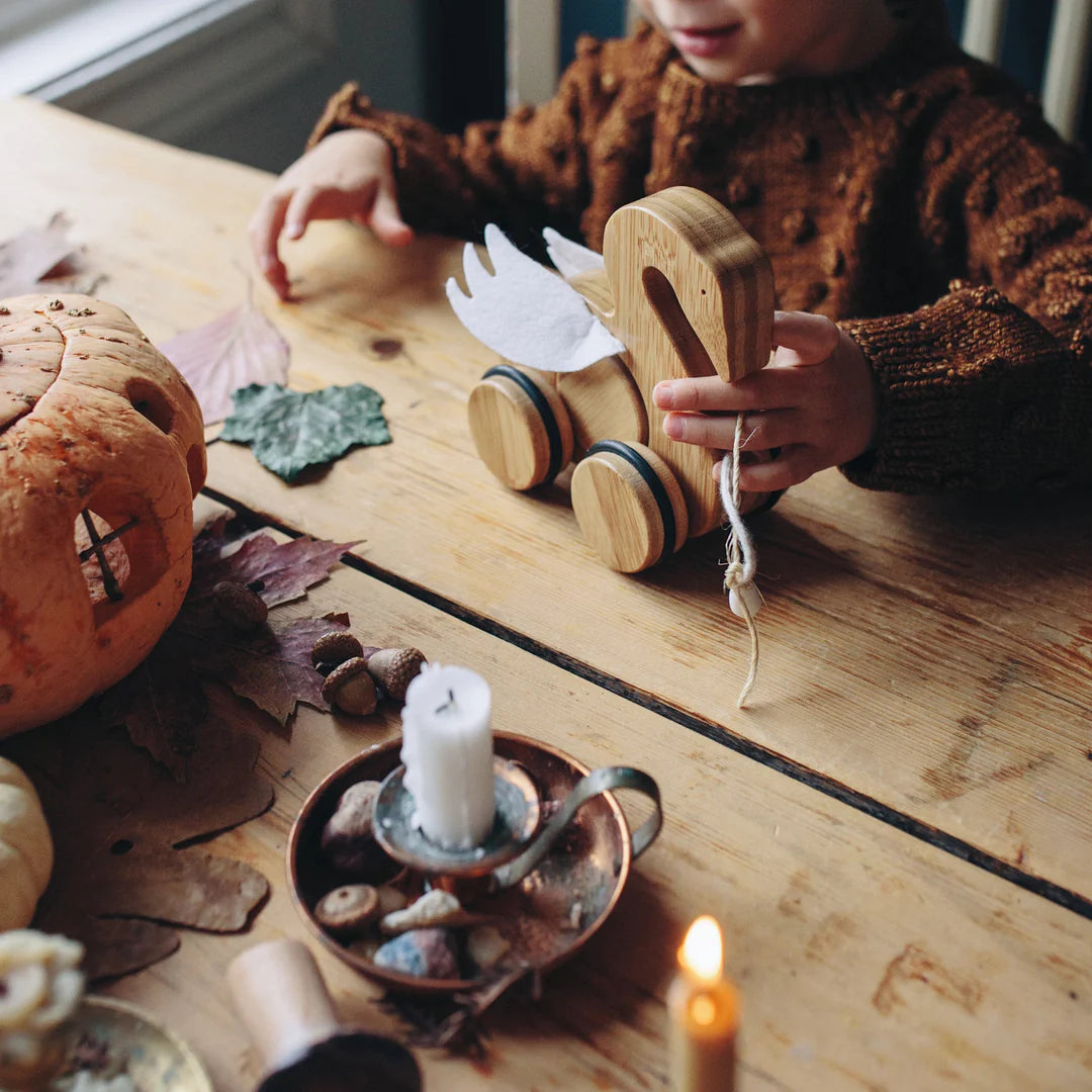 Push & pull bamboo toy- Swan