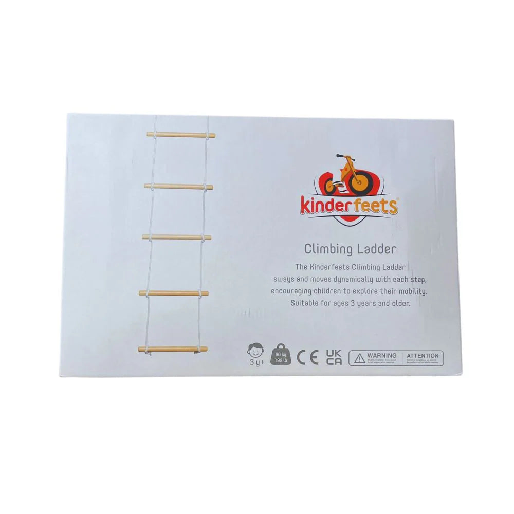 Wooden kids climbing ladder