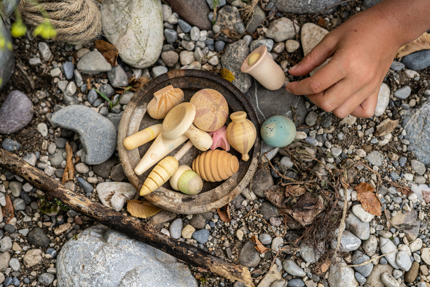 Wooden nature wonders loose pieces