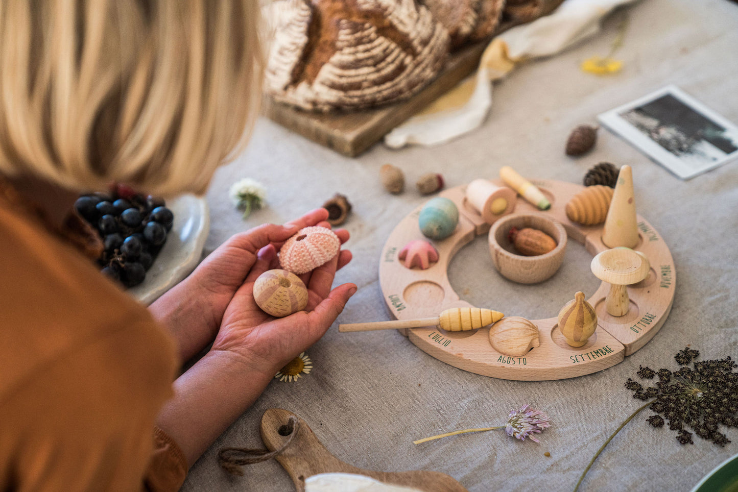 Wooden nature wonders loose pieces