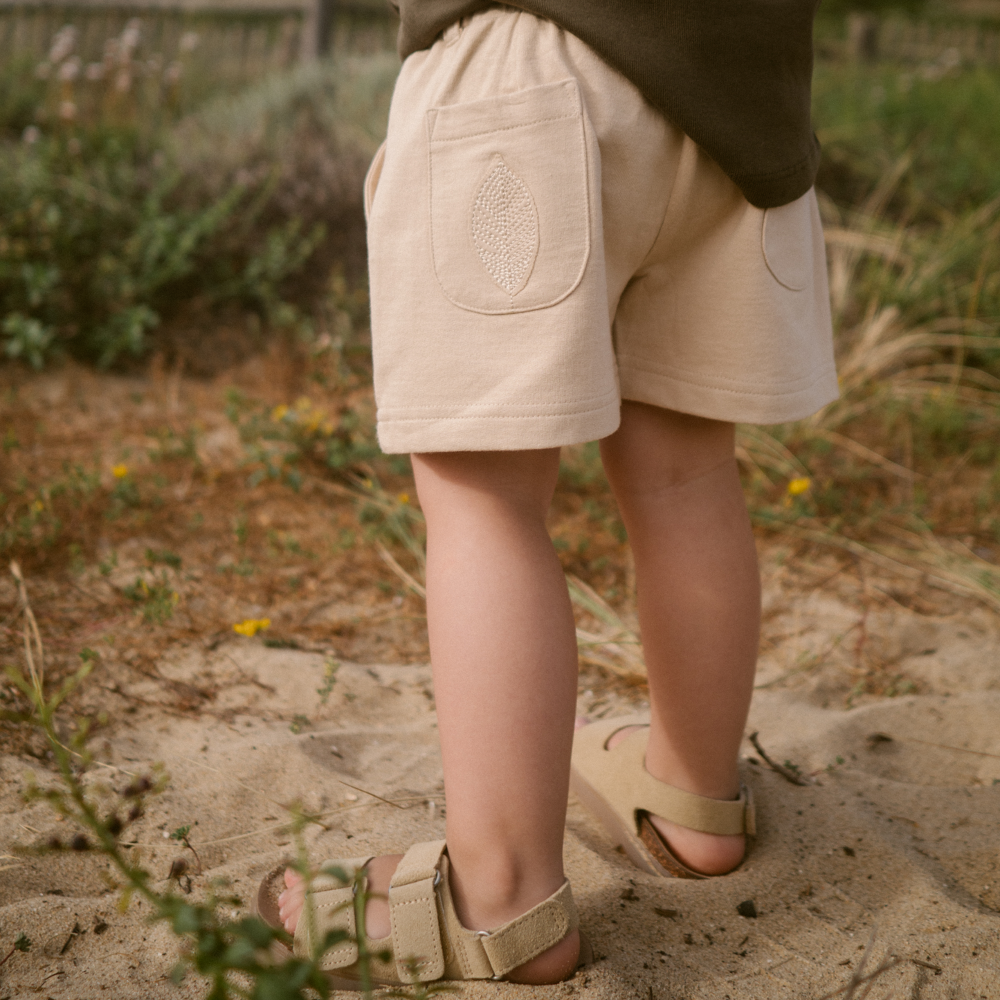 Birch unisex beige cotton shorts-Sand