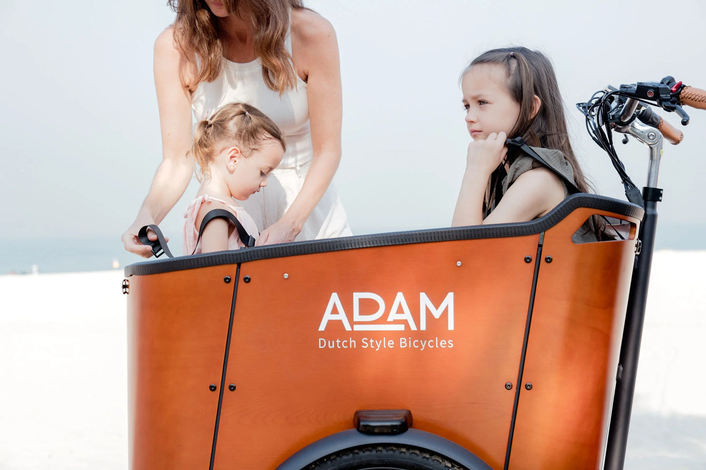The Cargo Bike-Electric