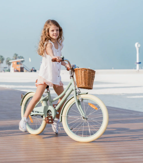 The Dutch style 20" - Bicycle for children