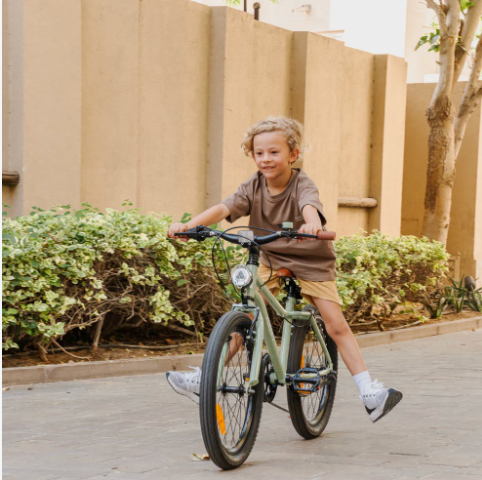 The Speedy mountain bike 20"