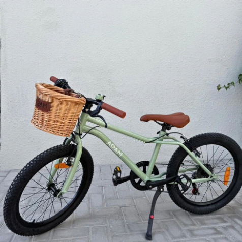 The Speedy mountain bike 20"