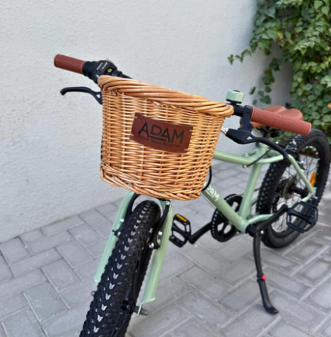 The Speedy mountain bike 20"