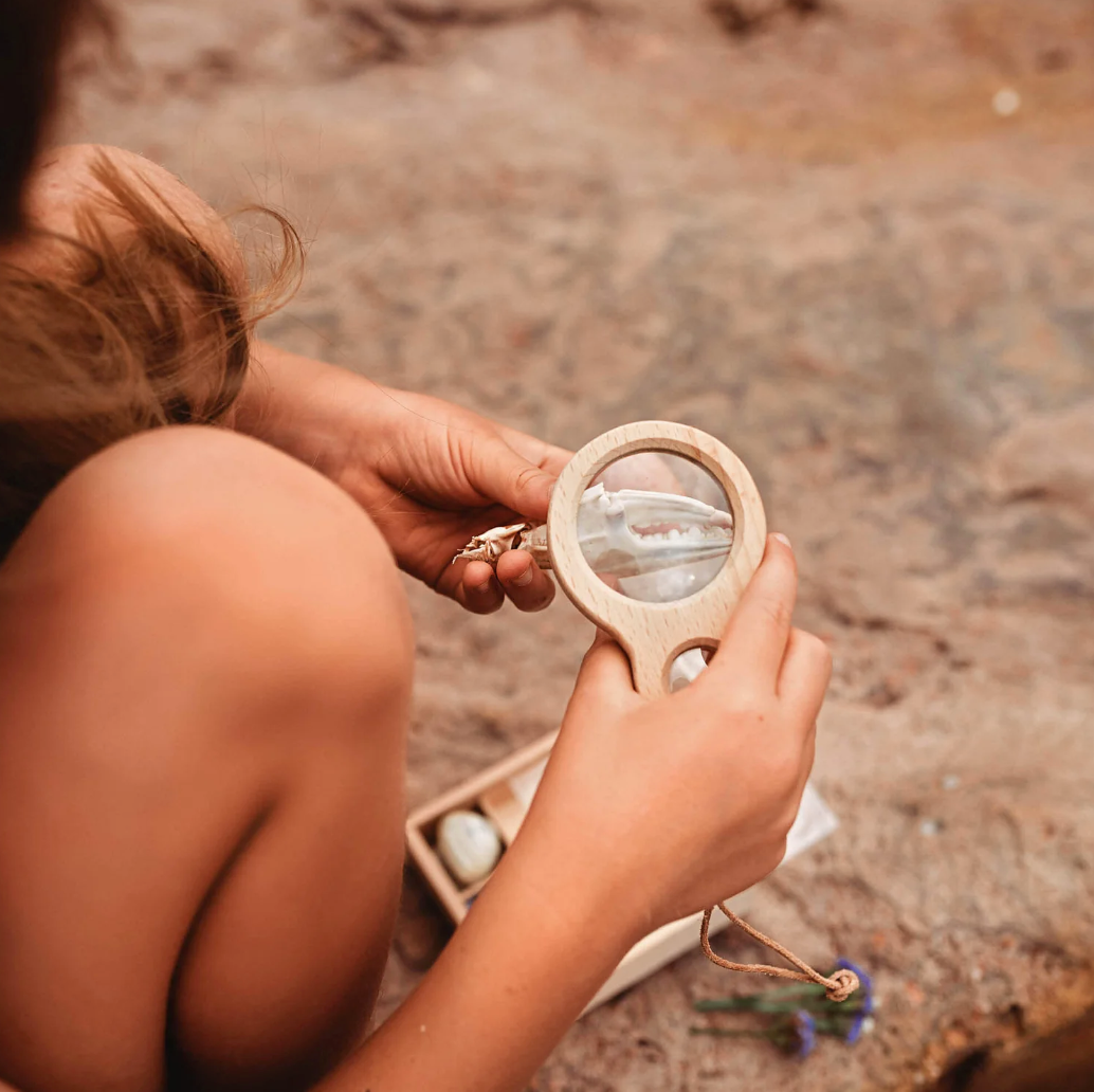 Wooden dual magnifying glass