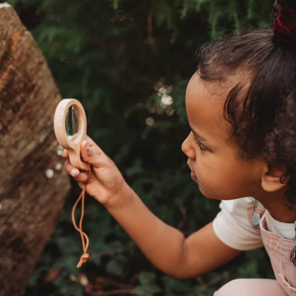 Wooden dual magnifying glass