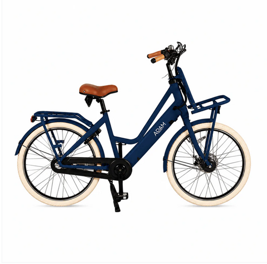 The Electric 28" adult bike