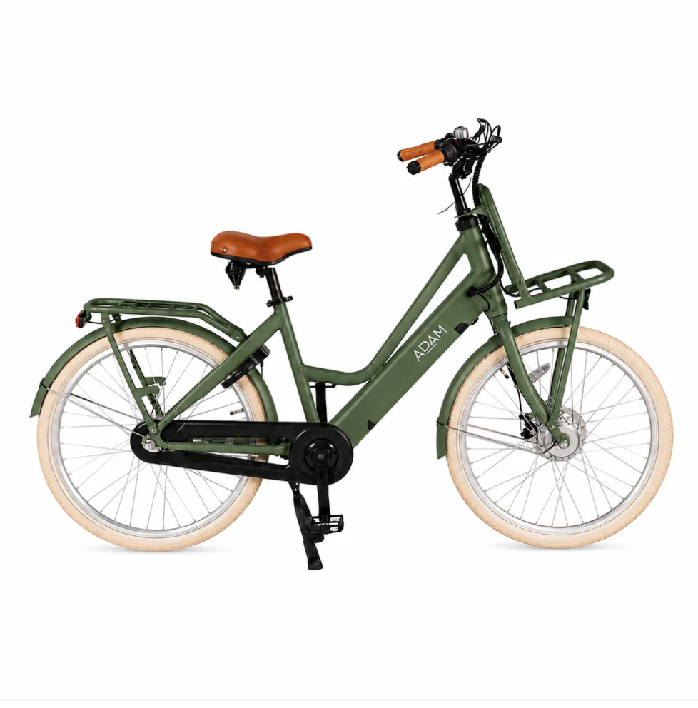 The Electric 28" adult bike