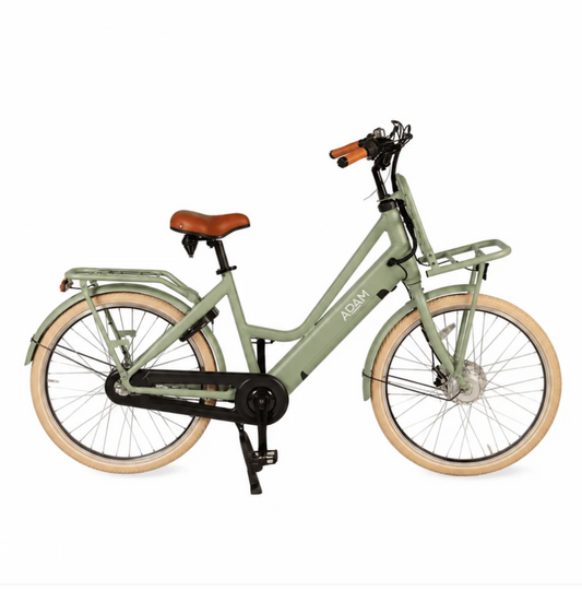 The Electric 26" adult bike