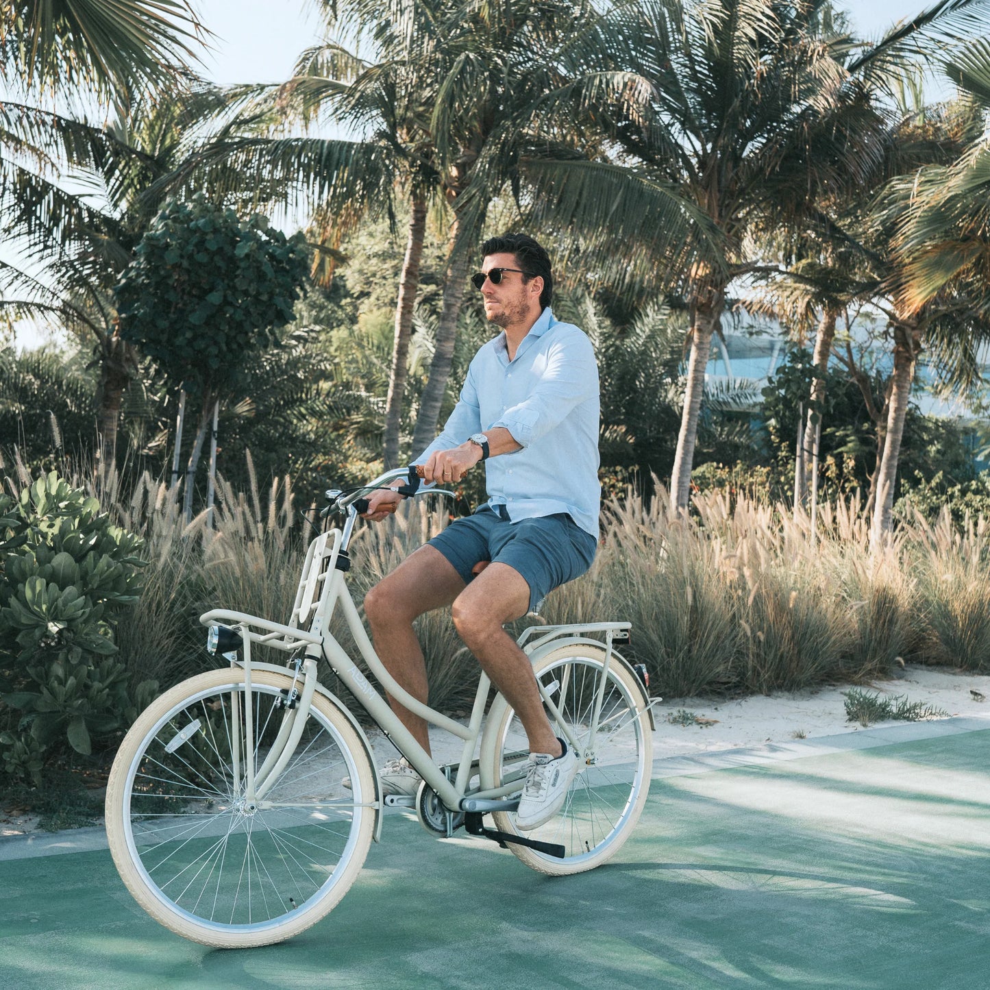 The Dutch Style 28" Adult Bike